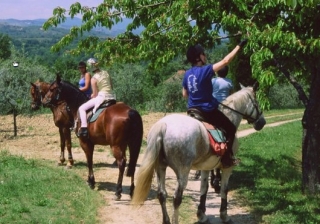  Reiten 